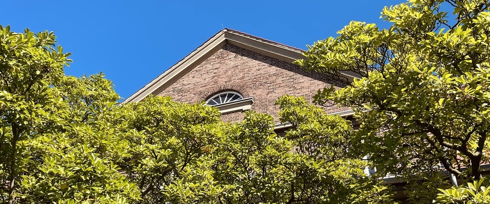 Spitze des Altbaus des Gerichtsgebäudes hinter Baumwipfeln.
