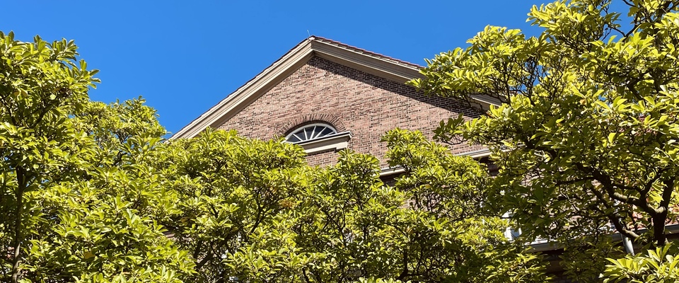 Spitze des Altbaus des Gerichtsgebäudes hinter Baumwipfeln.